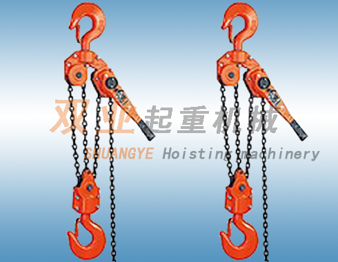 YL���ְ��«6T